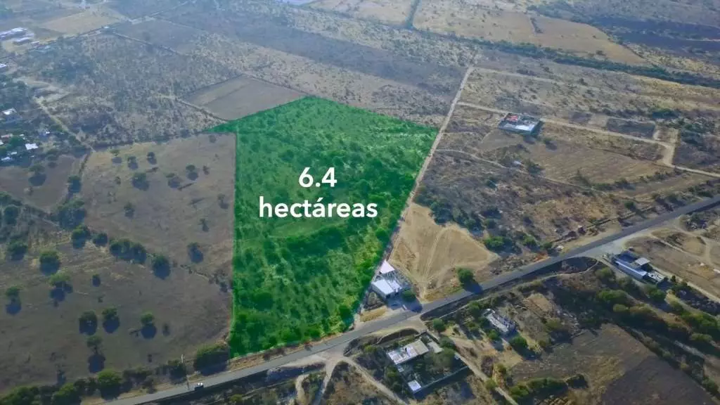 Rancho Los Organos 6.4 Ha, photo 1 of 5