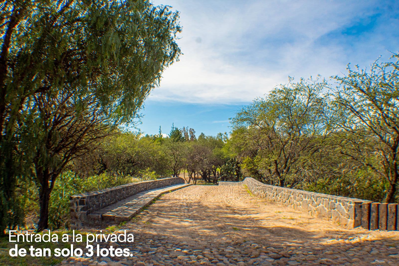 Lote Cané Rancho La Loma, photo 1 of 12