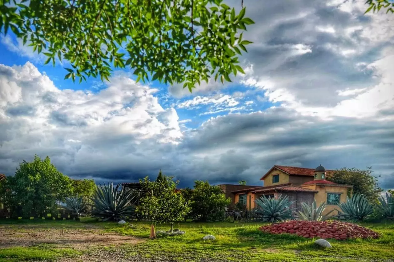 Casa Los Olivos, photo 1 of 12