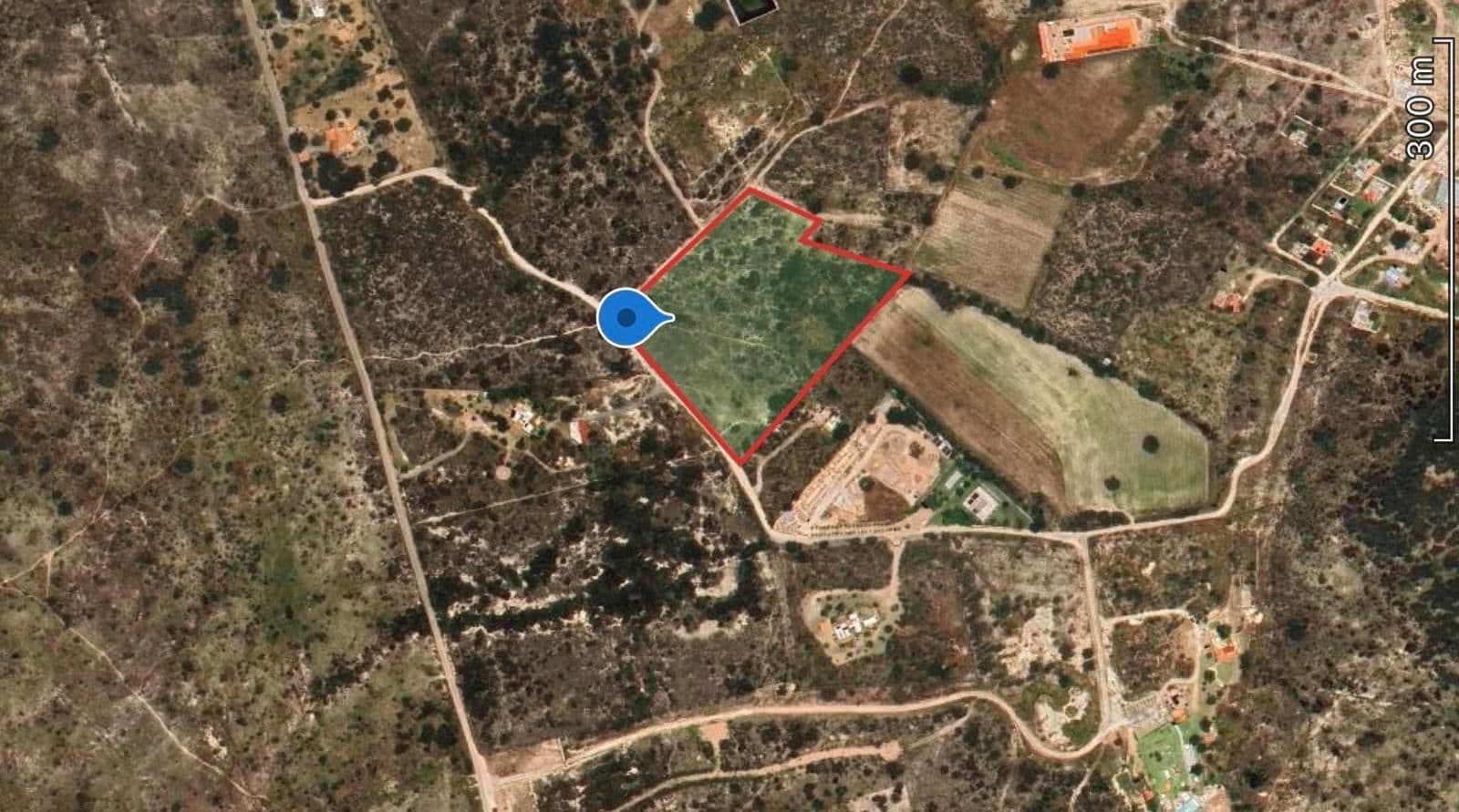 Lote Xote, photo 1 of 12