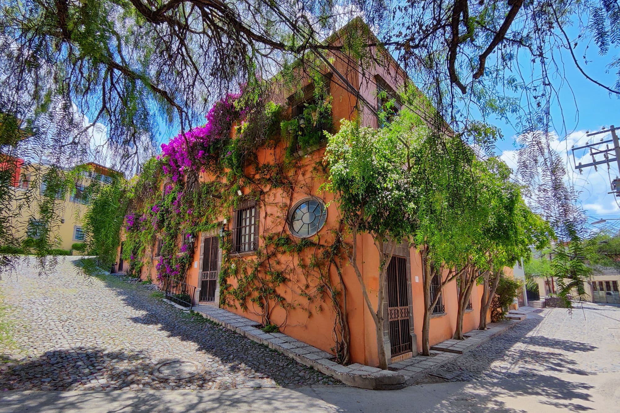 Casa el Quijote, photo 1 of 26