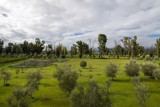 Lote Santa Lucia, photo 1 of 6